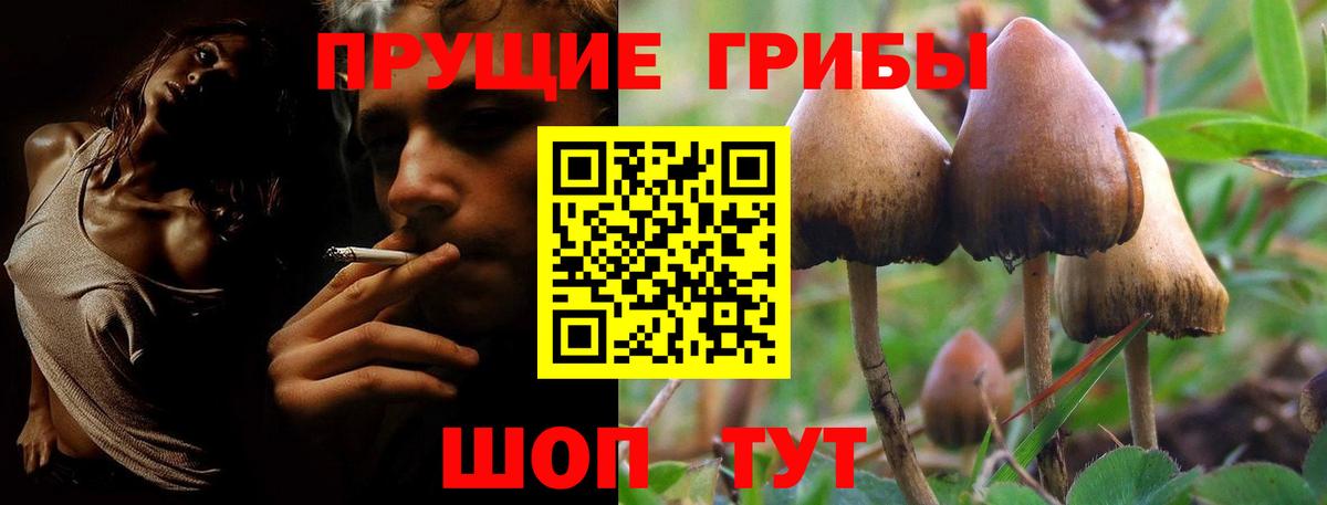 Дивногорск  Псилоцибиновые грибы прущие грибы  купить  цена  Вход с VPN 